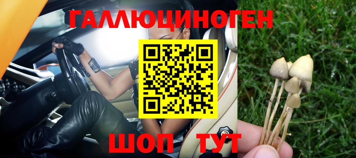 Псилоцибиновые грибы Psilocybine cubensis Мелеуз