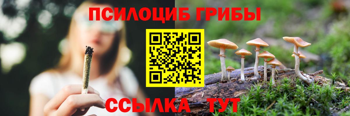 Псилоцибиновые грибы мицелий  купить наркотик  Мелеуз  Вход с VPN 